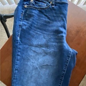 Torrid Denim Bermuda/Walking Shirts, size 10.